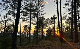 Stephanie D.'s photo of a dispersed camping area at Forest Road 102 Dispersed near Pecos, NM