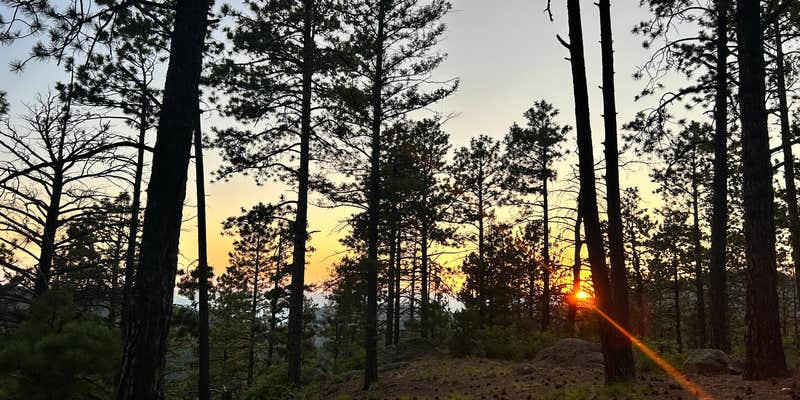 Camper submitted image from Forest Road 102 Dispersed