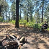 Review photo of Forest Road 102 Dispersed by Stephanie D., July 12, 2025
