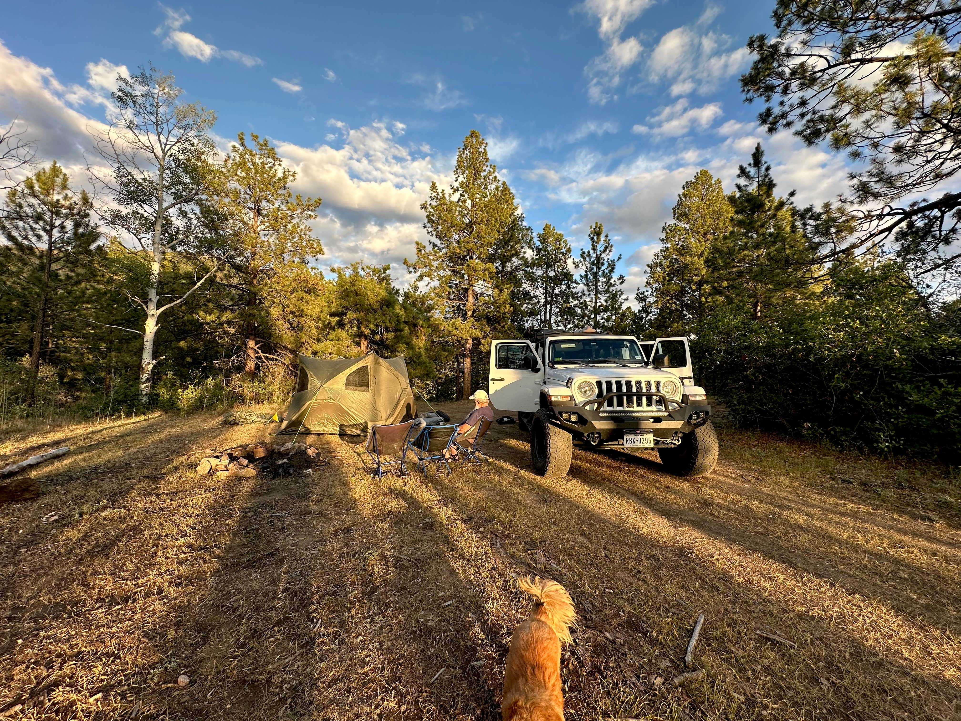 Fraun P.'s photo at Forest Road 102 Dispersed near Española, NM