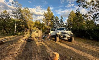 Fraun P.'s photo at Forest Road 102 Dispersed near Española, NM