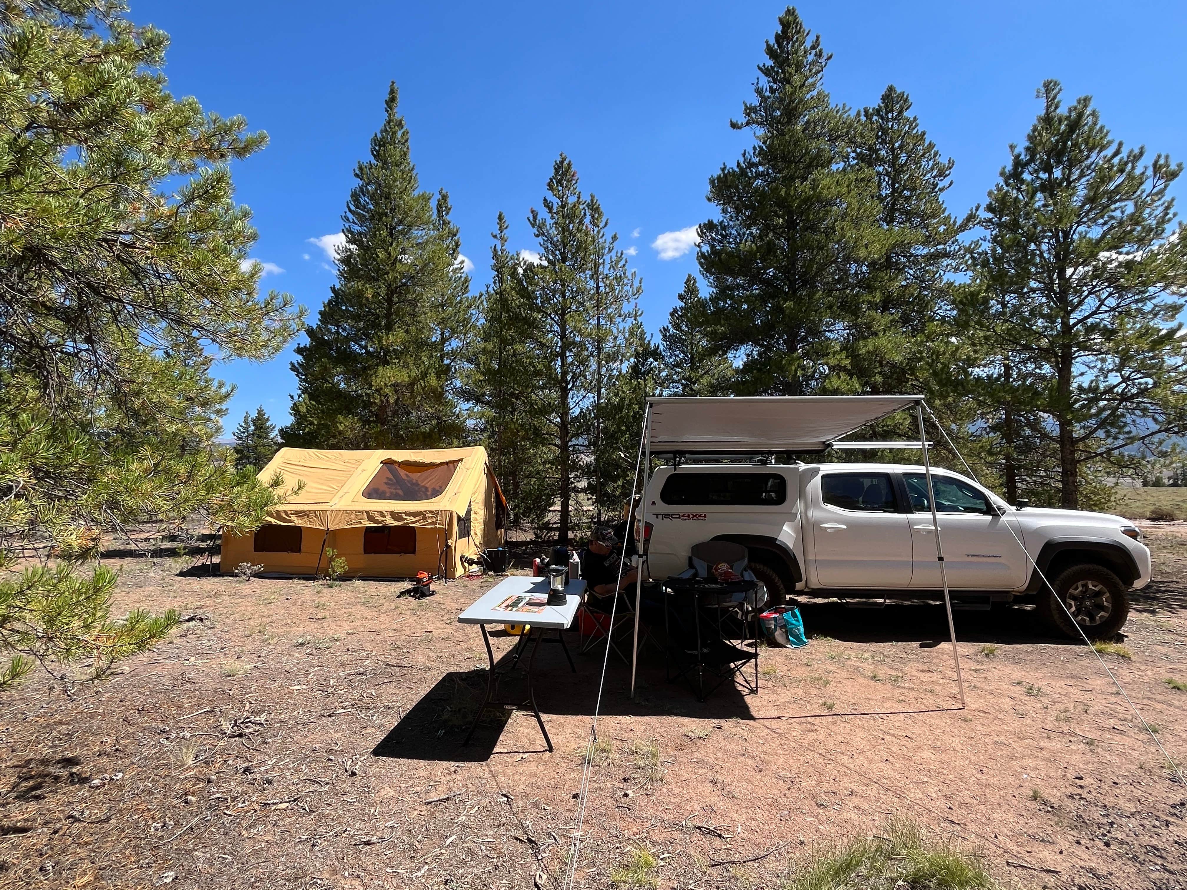 Lorene N.'s photo of a dispersed camping area at Forest Road 130 near Granite, CO
