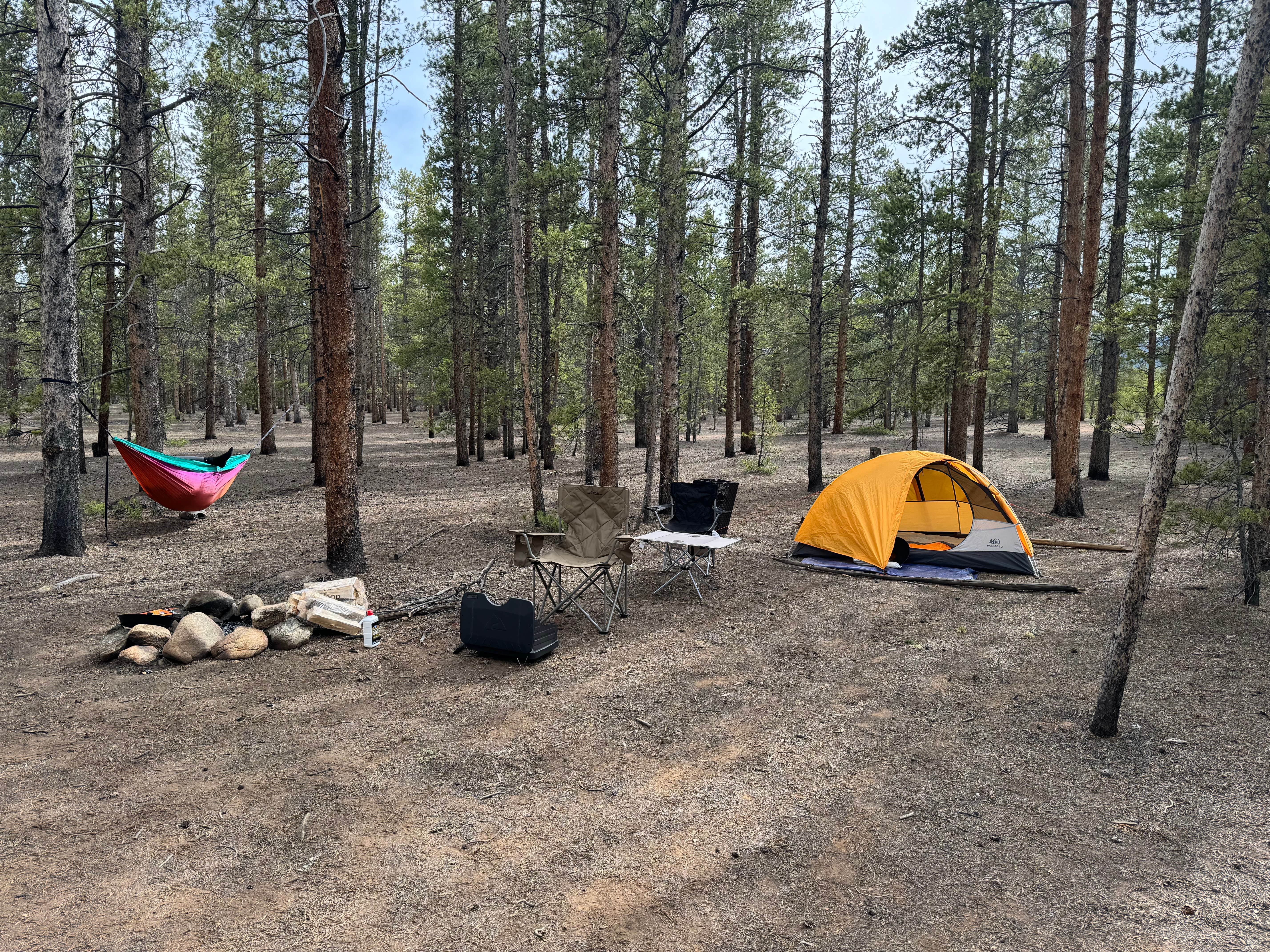 Rachel H.'s photo of a dispersed camping area at Forest Road 130 near Climax, CO