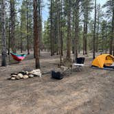 Review photo of Forest Road 130 by Rachel H., June 5, 2024