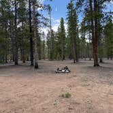 Review photo of Forest Road 130 by stefan K., June 5, 2026