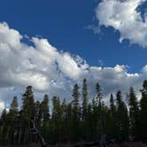 Review photo of Forest Road 130 by John P., September 7, 2026