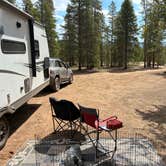 Review photo of Forest Road 130 by Scott S., June 23, 2026