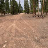 Review photo of Forest Road 130 by Ryan C., July 21, 2024