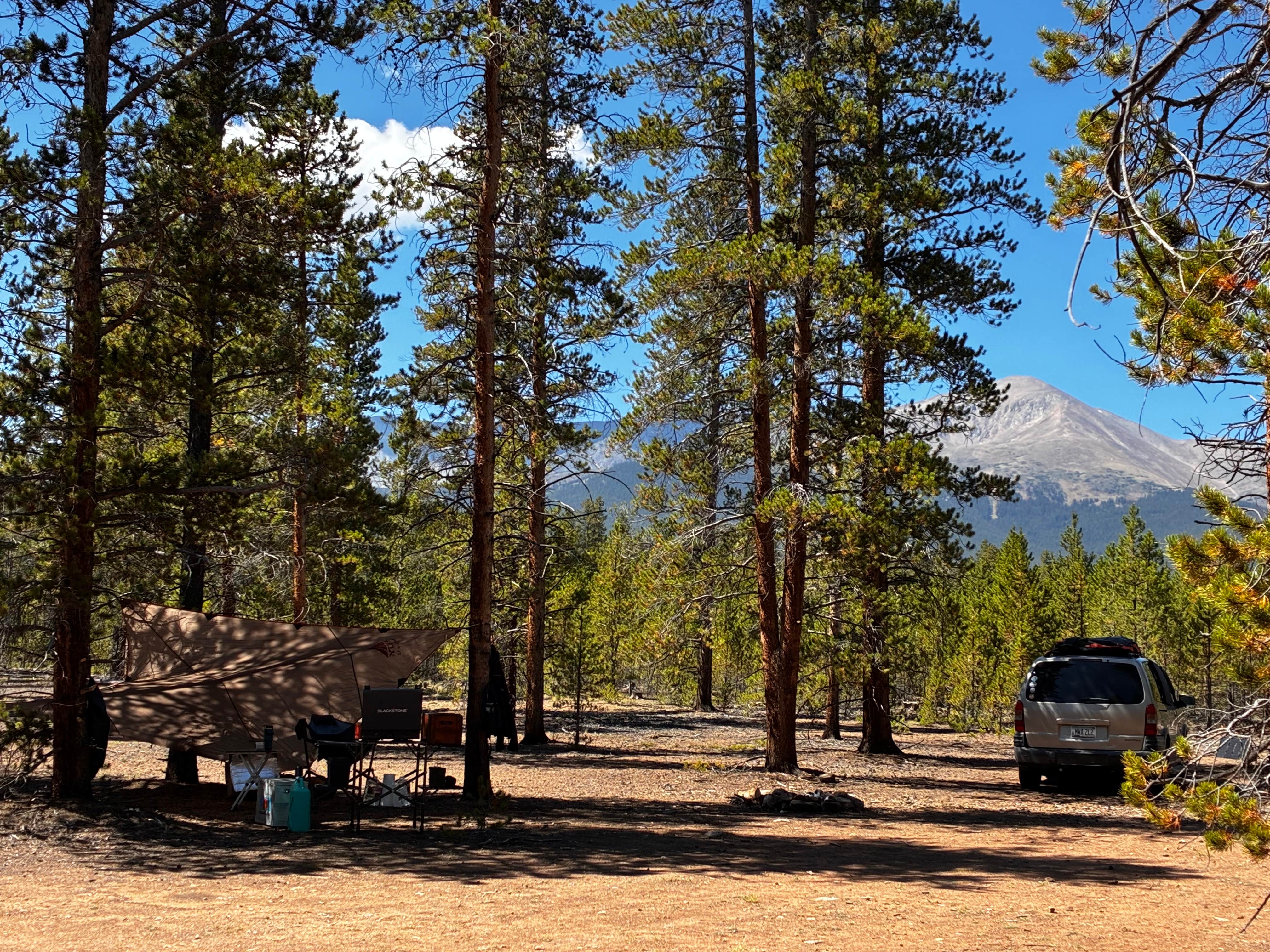 thomas F.'s photo of a dispersed camping area at Forest Road 130 near Meredith, CO