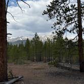 Review photo of Forest Road 130 by stefan K., June 5, 2026