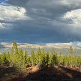 Review photo of Forest Road 130 by John P., September 7, 2026