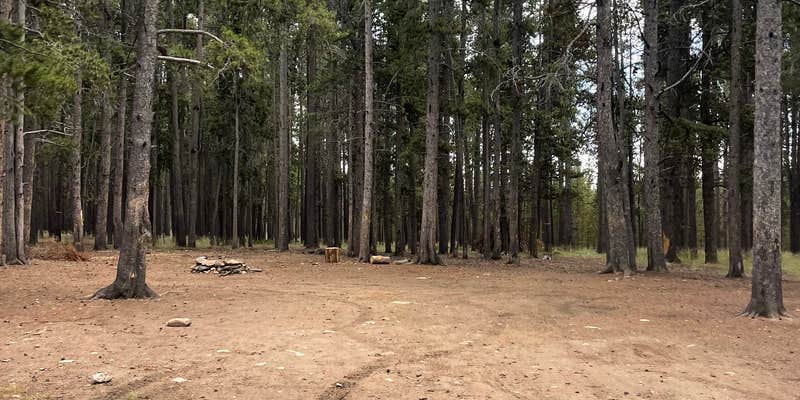 Camper submitted image from Forest Road 131