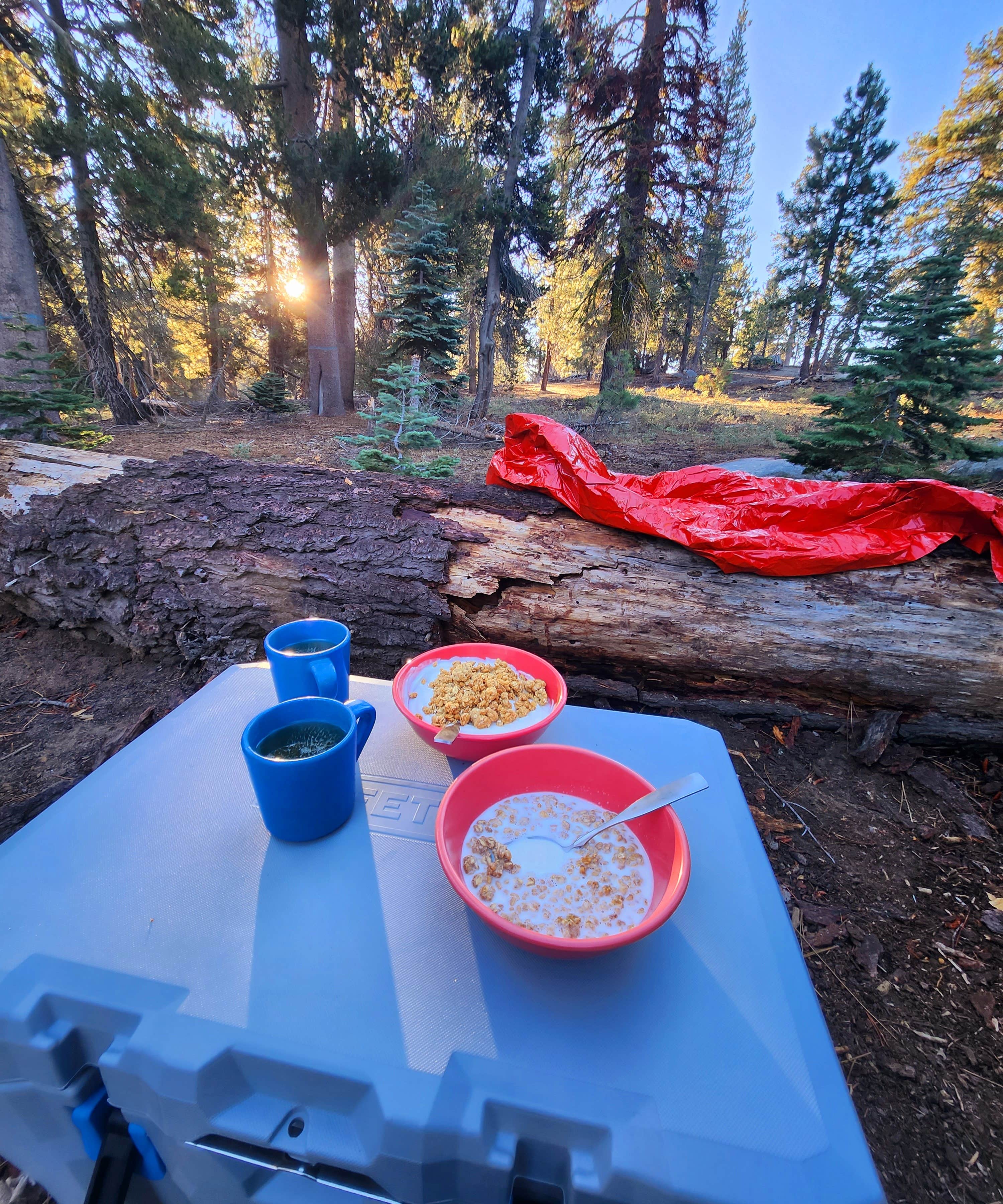 Pavla L.'s photo at Forest Road 14S11 North Camp near Badger, CA