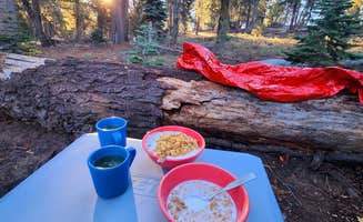 Pavla L.'s photo at Forest Road 14S11 North Camp near Sequoia and Kings Canyon National Parks