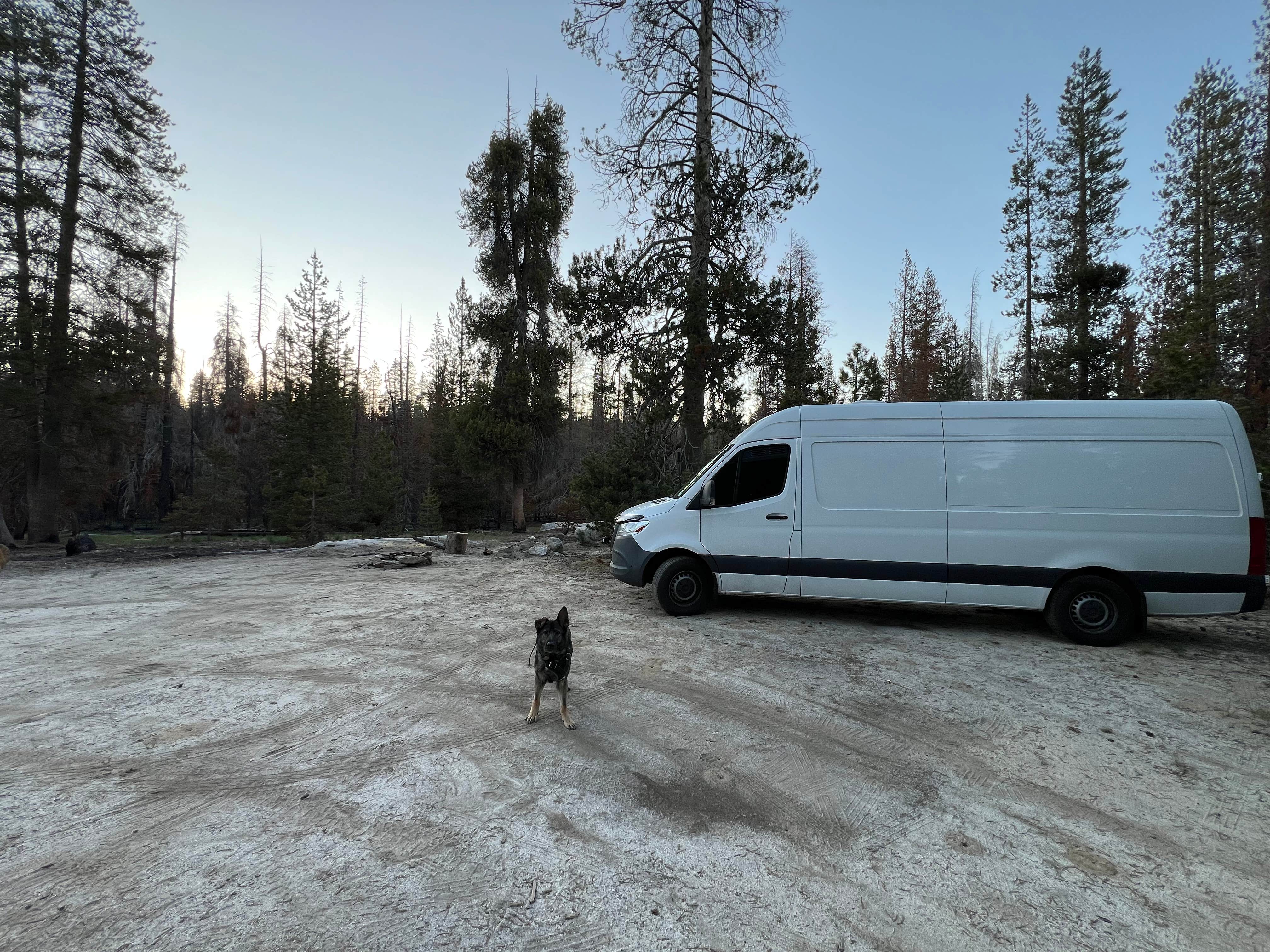 Bradley B.'s photo of rv camping at Forest Road 14S11 North Camp near Sequoia & Kings Canyon National Parks