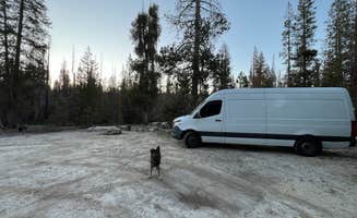 Bradley B.'s photo of camping with pets at Forest Road 14S11 North Camp near Sequoia and Kings Canyon National Parks