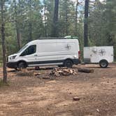 Review photo of Forest Road 169 Campground by David B., August 1, 2026
