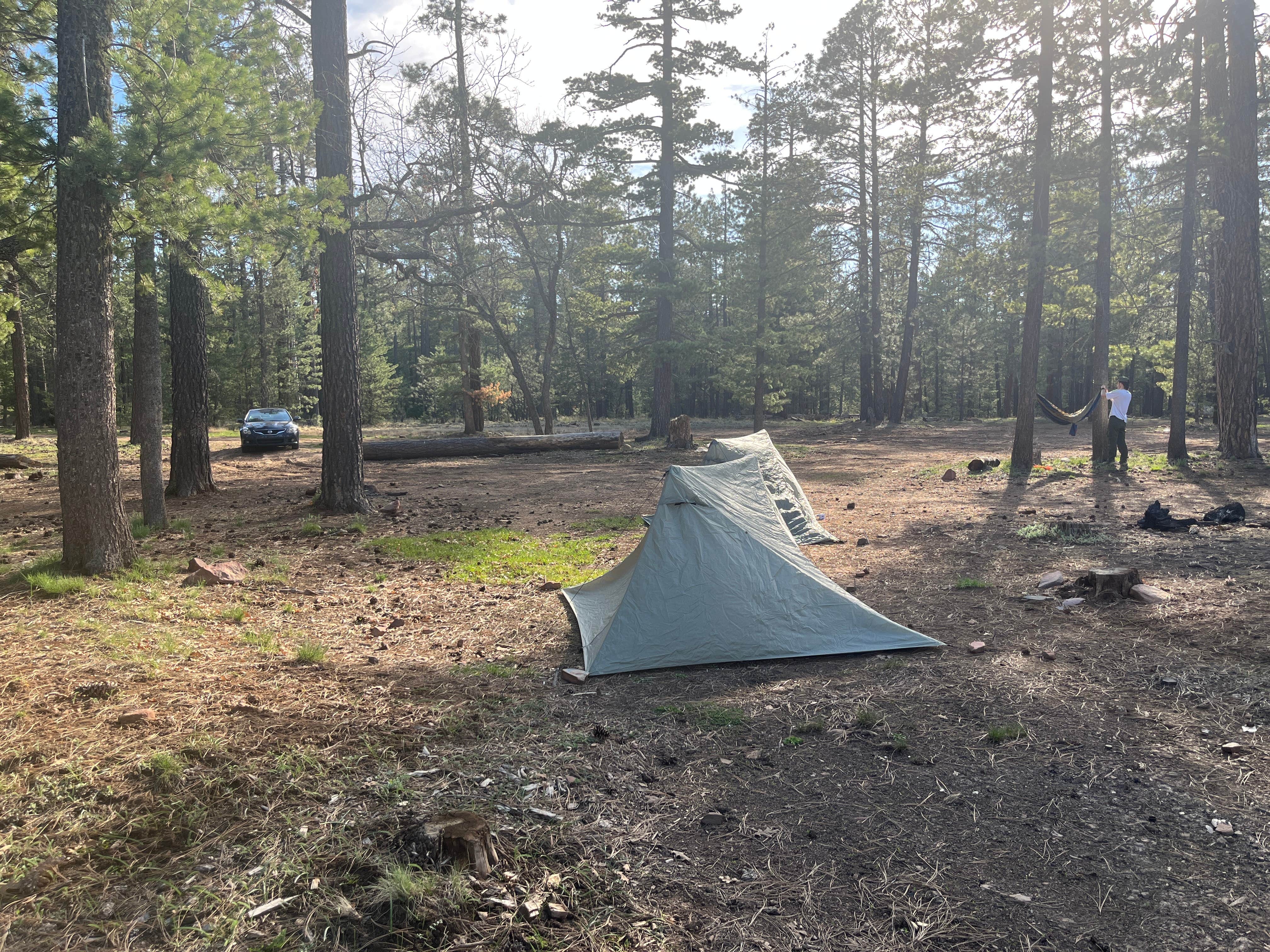 Camping near Chevelon Crossing Campground: Forest Road 169 Campground, Kohls Ranch, Arizona