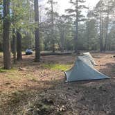 Review photo of Forest Road 169 Campground by George S., April 1, 2026