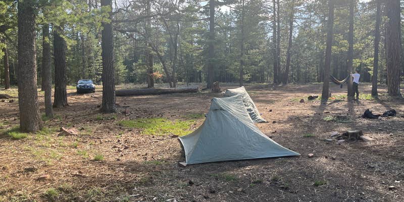 Camper submitted image from Forest Road 169 Campground
