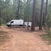 Review photo of Forest Road 169 Campground by David B., August 1, 2026
