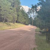 Review photo of Forest Road 169 Campground by David B., August 1, 2026