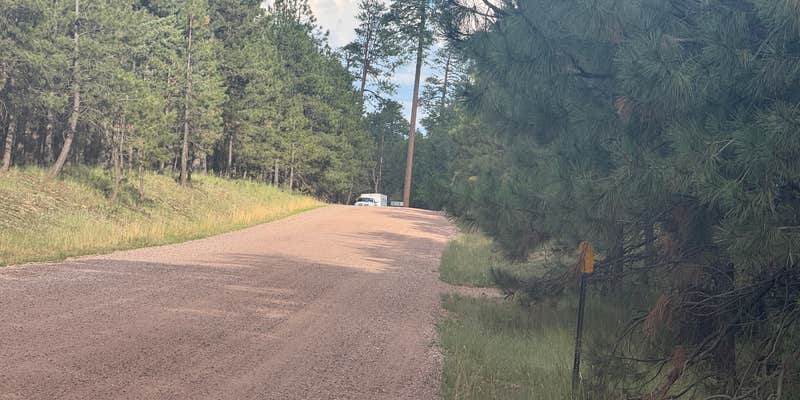 Camper submitted image from Forest Road 169 Campground