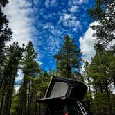 Review photo of forest road 171 disperse camping by Rav H., September 8, 2026