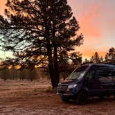 Review photo of forest road 171 disperse camping by Mary B., December 23, 2025