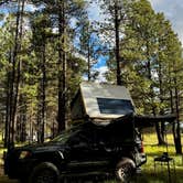 Review photo of forest road 171 disperse camping by Rav H., September 8, 2026