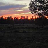 Review photo of forest road 171 disperse camping by Allison D., March 27, 2026