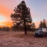 Review photo of forest road 171 disperse camping by Mary B., December 23, 2025