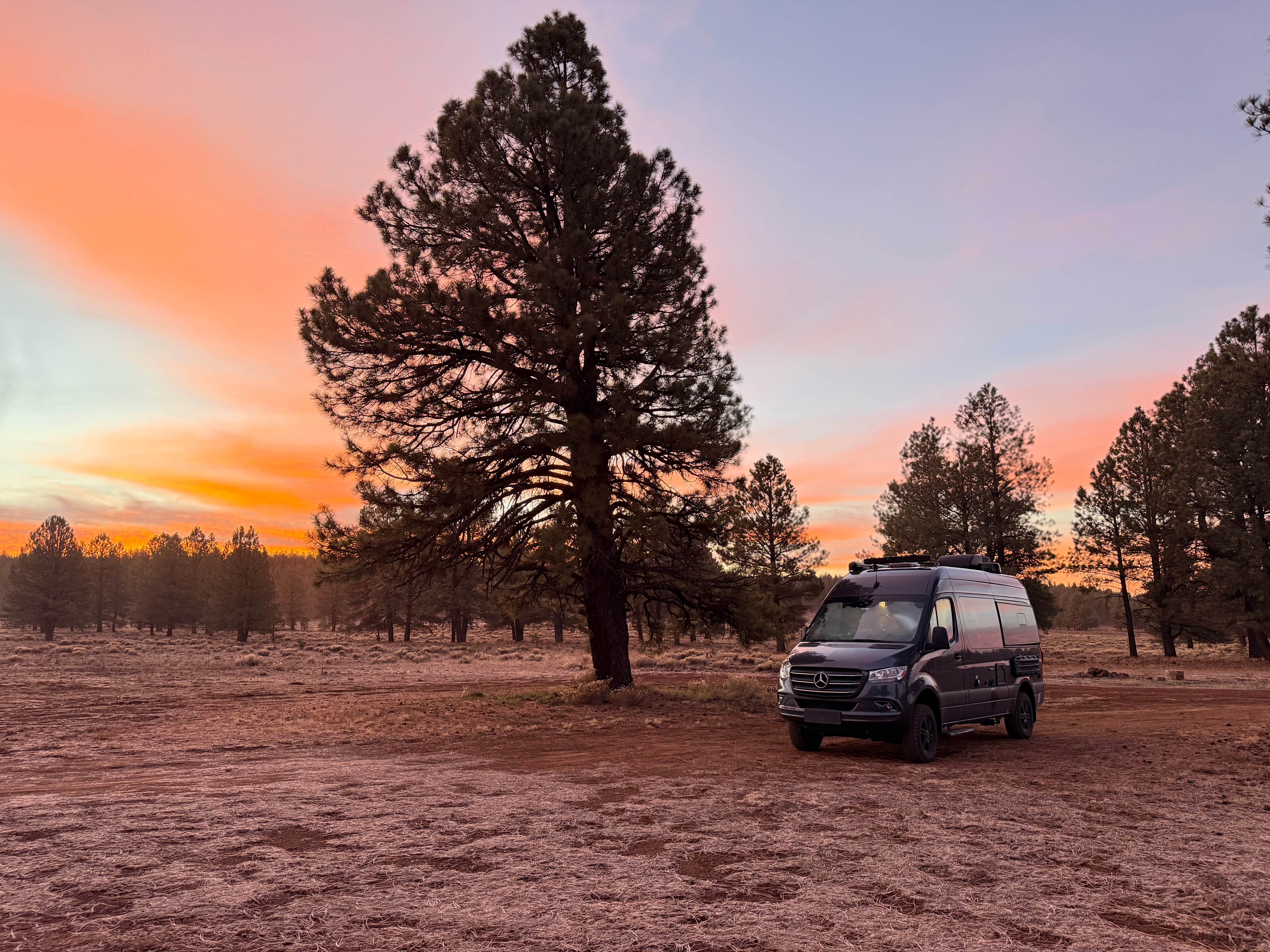 Camper submitted image from forest road 171 disperse camping - 1