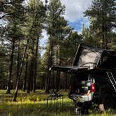 Review photo of forest road 171 disperse camping by Rav H., September 8, 2026
