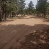 Review photo of forest road 181 by Patrick C., July 22, 2024