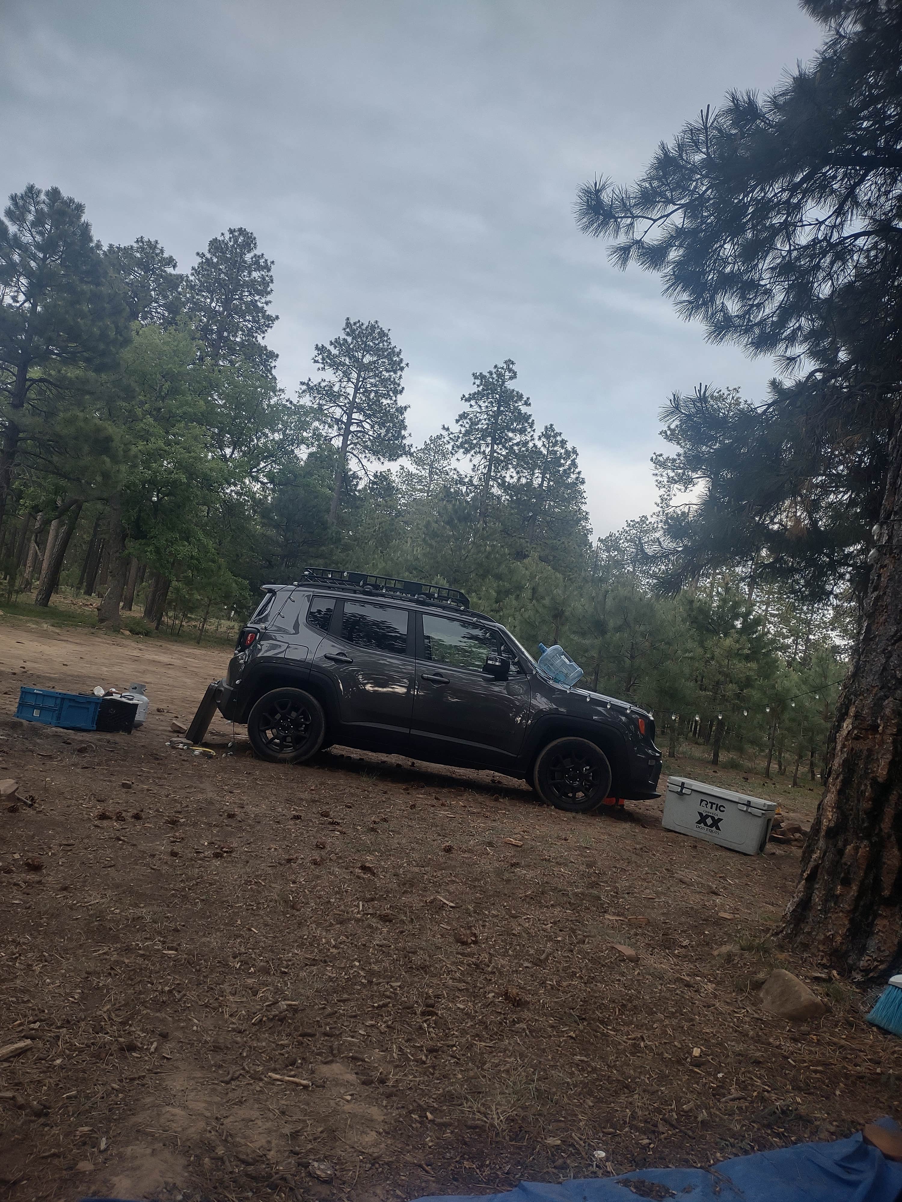 Camper submitted image from forest road 181 - 4