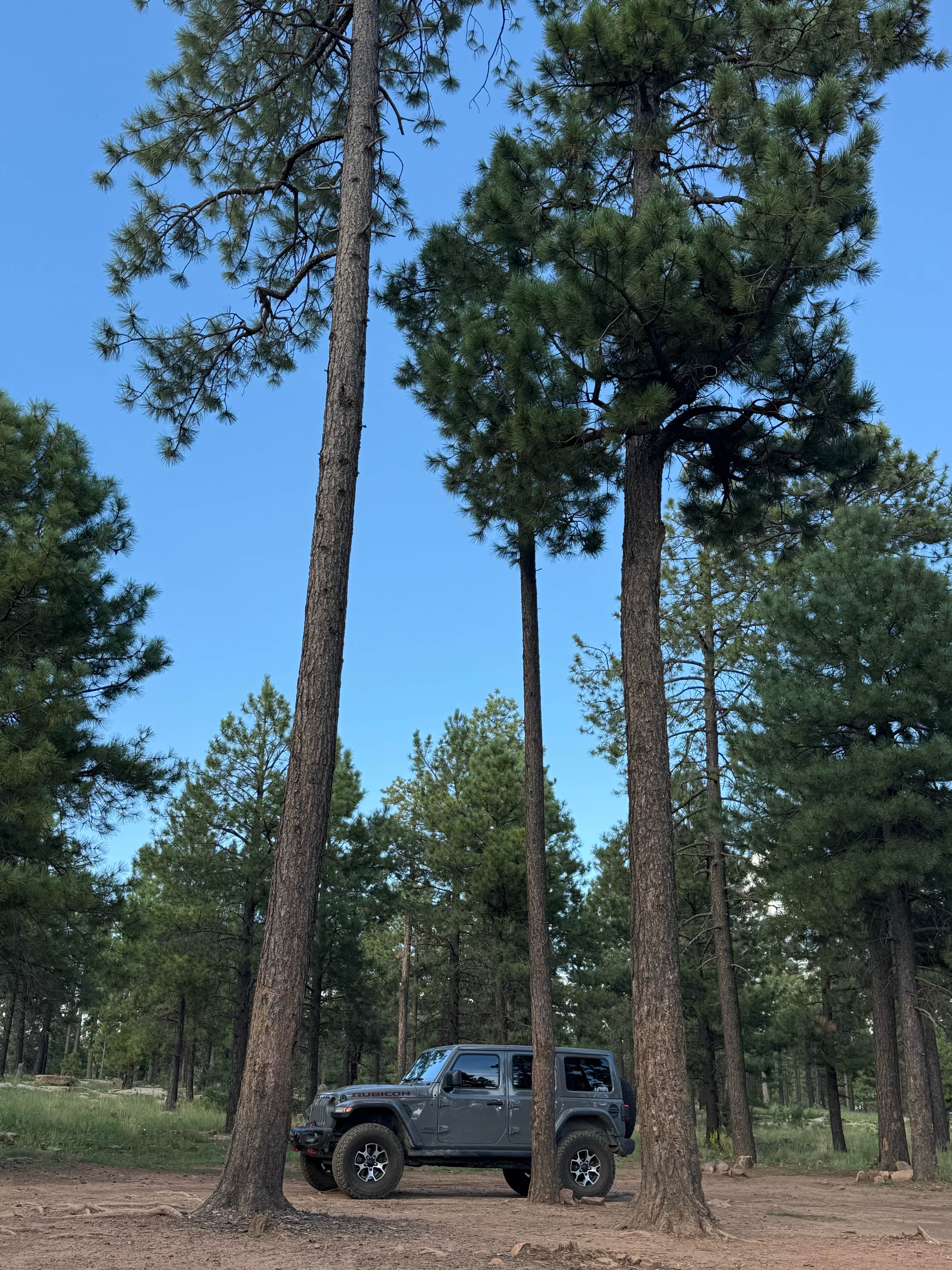 Camper-submitted photo at Forest Road 195 Campground near Sun Valley, AZ