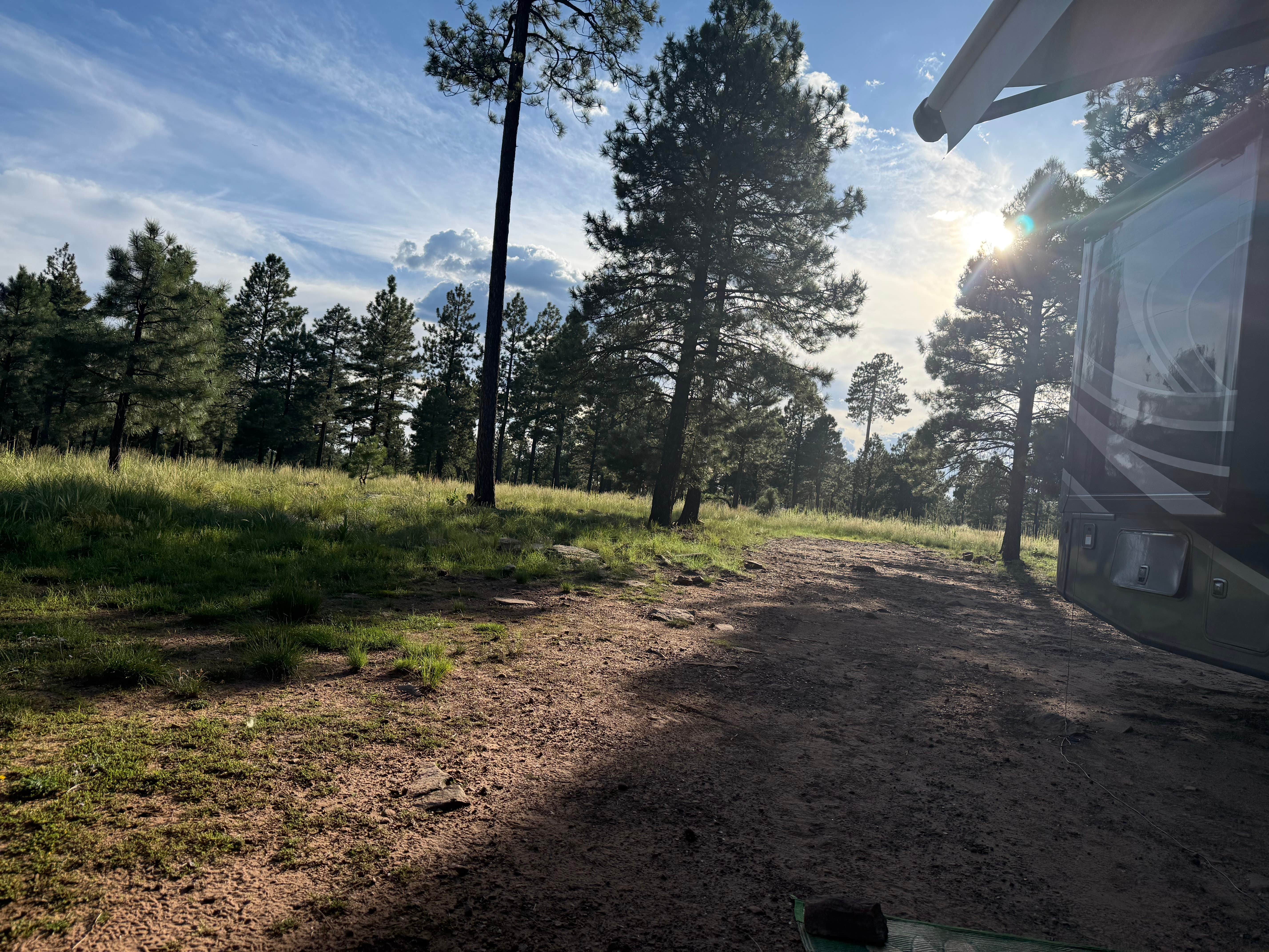 Camper-submitted photo at Forest Road 195 Campground near Sun Valley, AZ