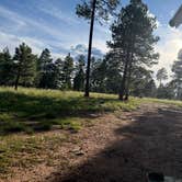 Review photo of Forest Road 195 Campground by Christy , August 22, 2026