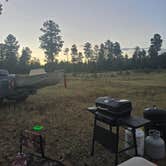 Review photo of Forest Road 195 Campground by Debra C., July 24, 2026
