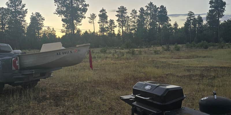 Camper submitted image from Forest Road 195 Campground
