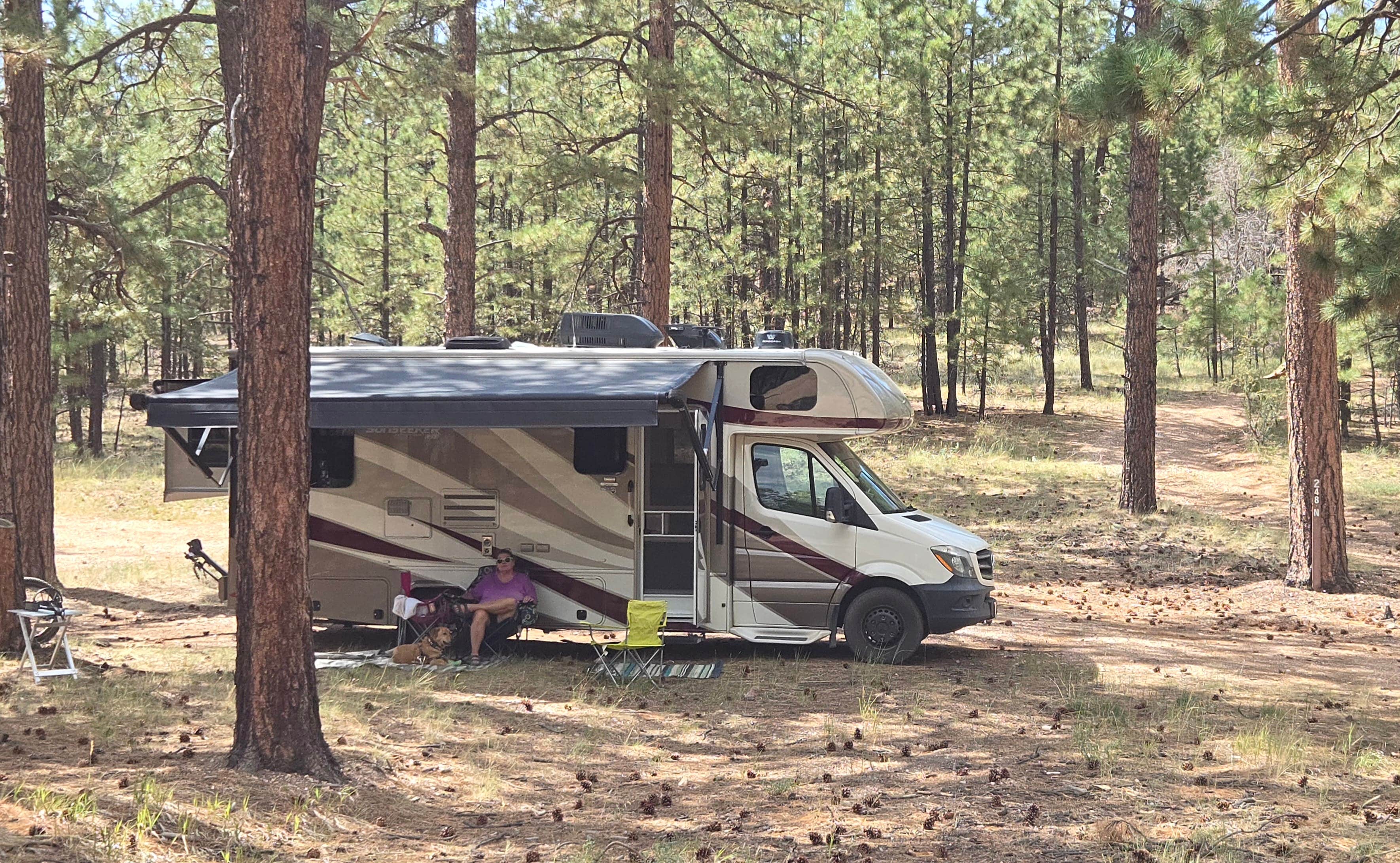 Camping near Forest Road 248: Forest Road 248 Dispersed #2, Jacob Lake, Arizona