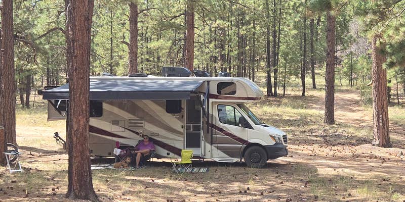 Camper submitted image from Forest Road 248 Dispersed #2