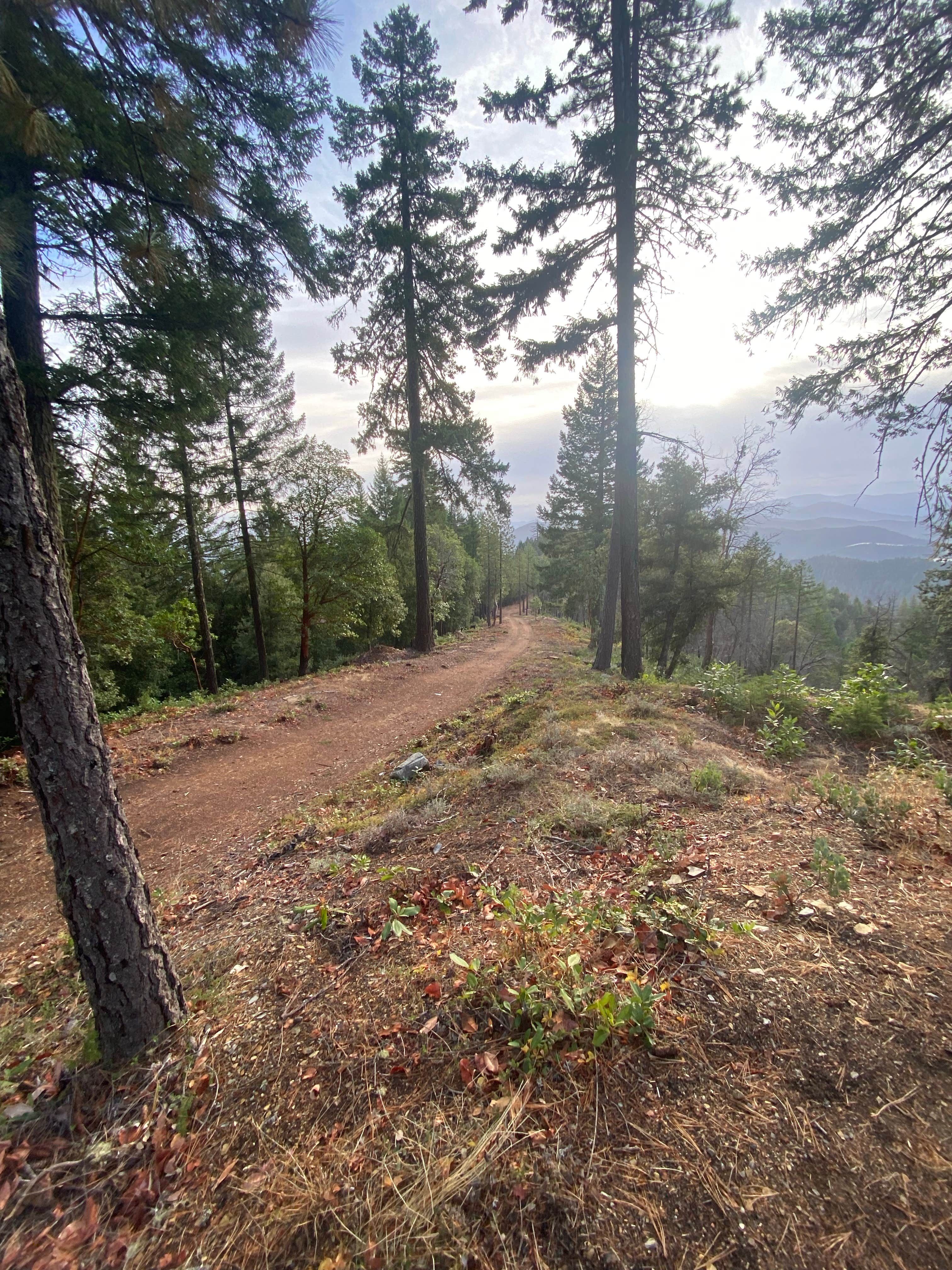 Camper-submitted photo at Forest Road 25 near Merlin, OR