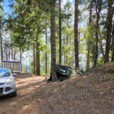 Review photo of Forest Road 25 by David S., September 26, 2026