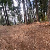 Review photo of Forest Road 25 by Imerie T., October 2, 2025