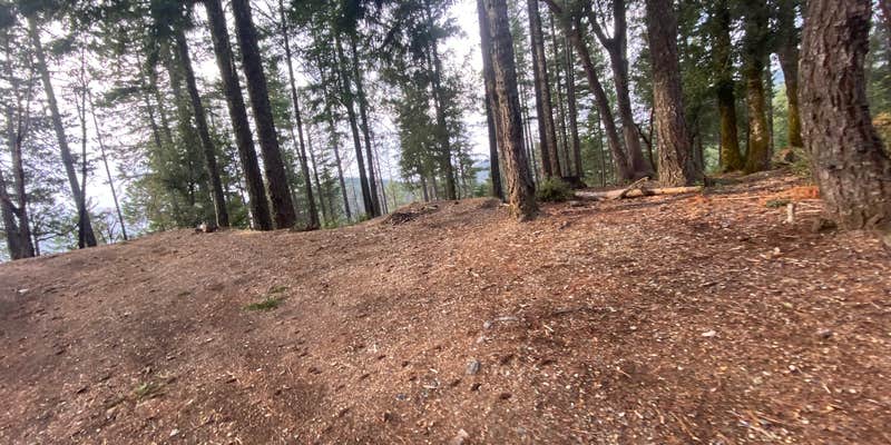 Camper submitted image from Forest Road 25