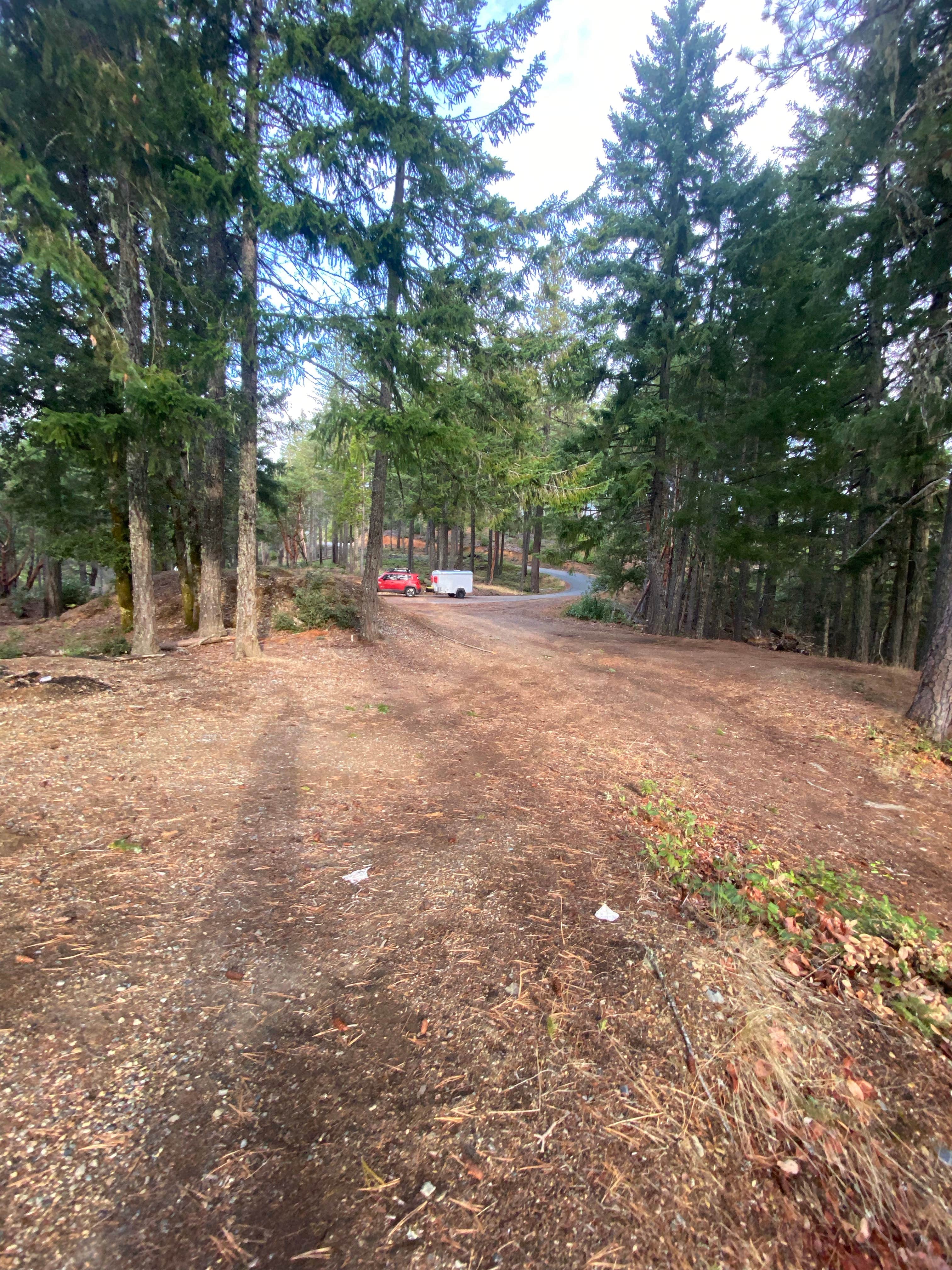 Camper-submitted photo at Forest Road 25 near Merlin, OR