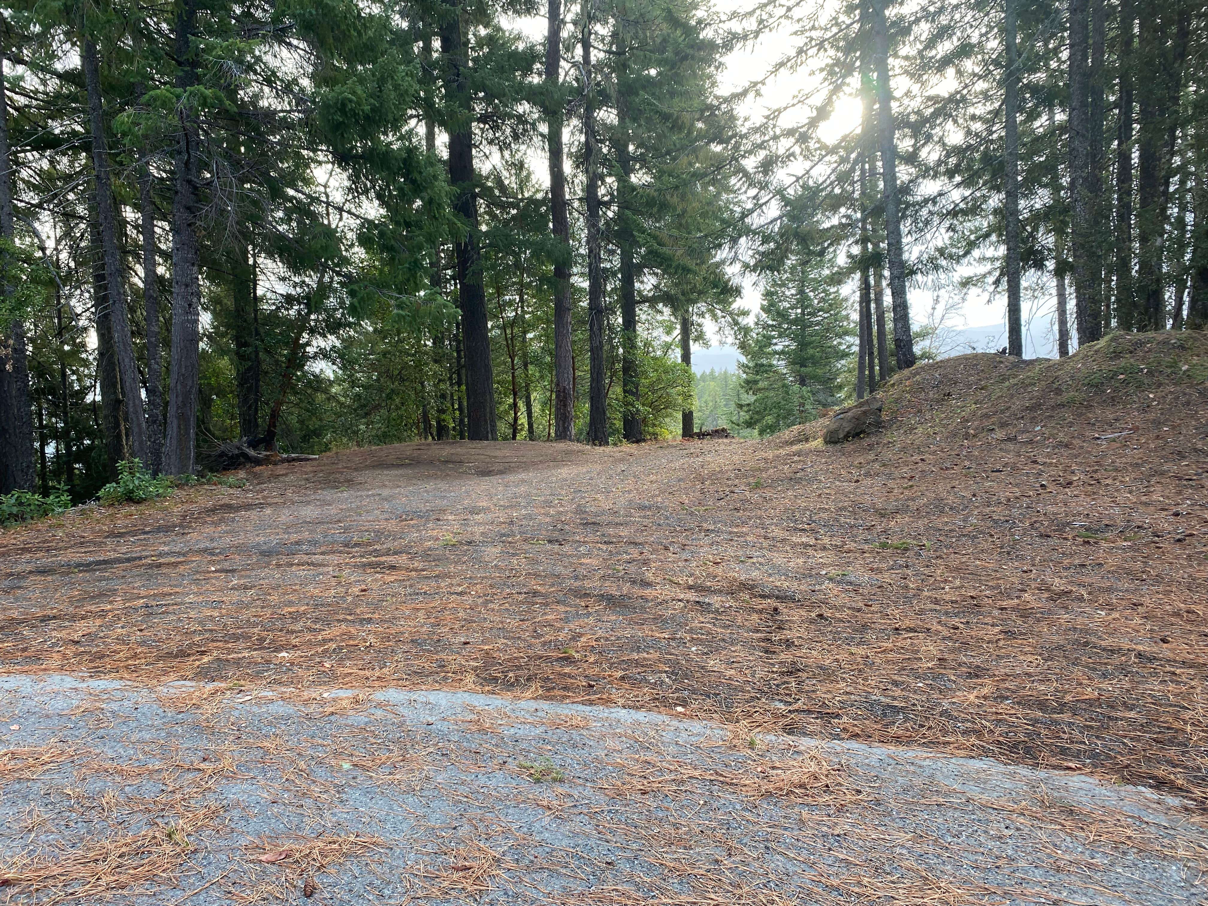 Camper submitted image from Forest Road 25 - 2