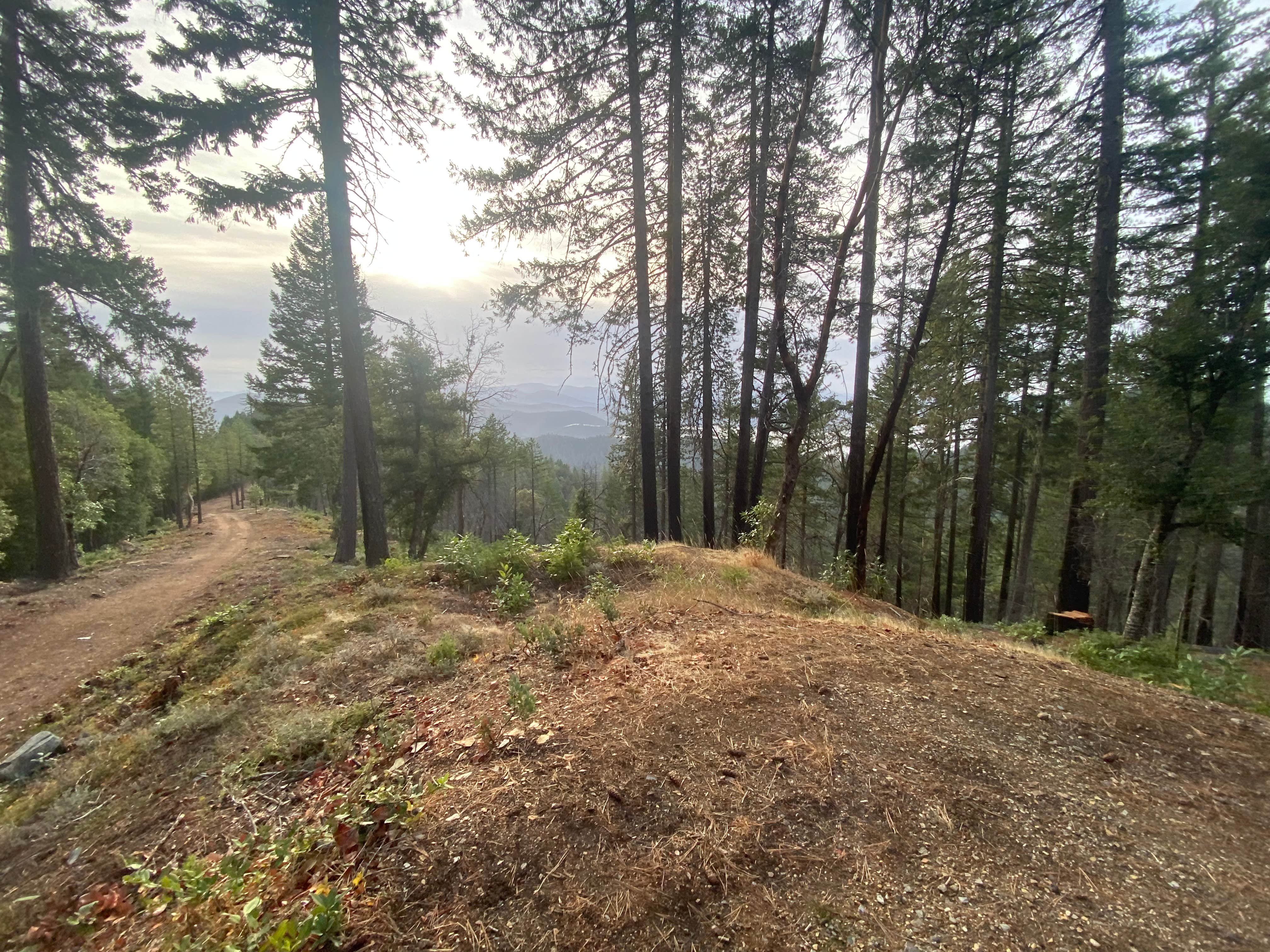 Camper-submitted photo at Forest Road 25 near Merlin, OR